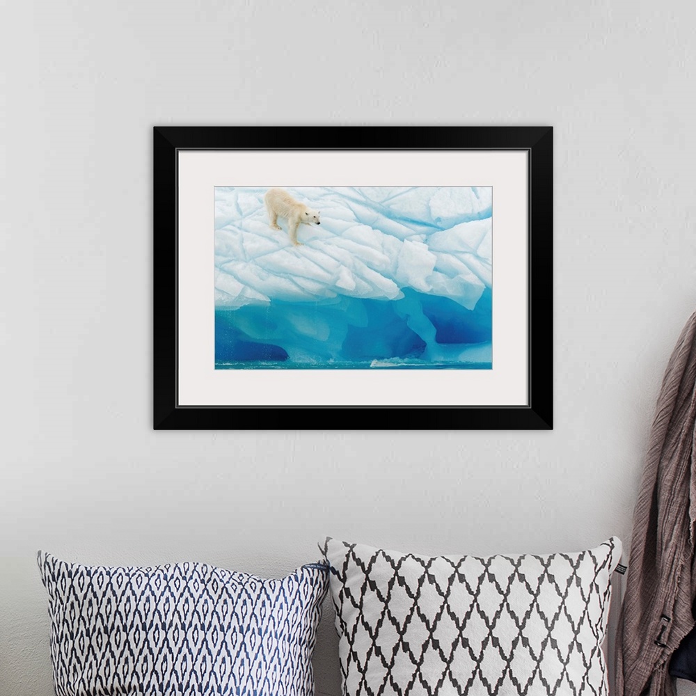 A bohemian room featuring A polar bear on the edge of a glacier.