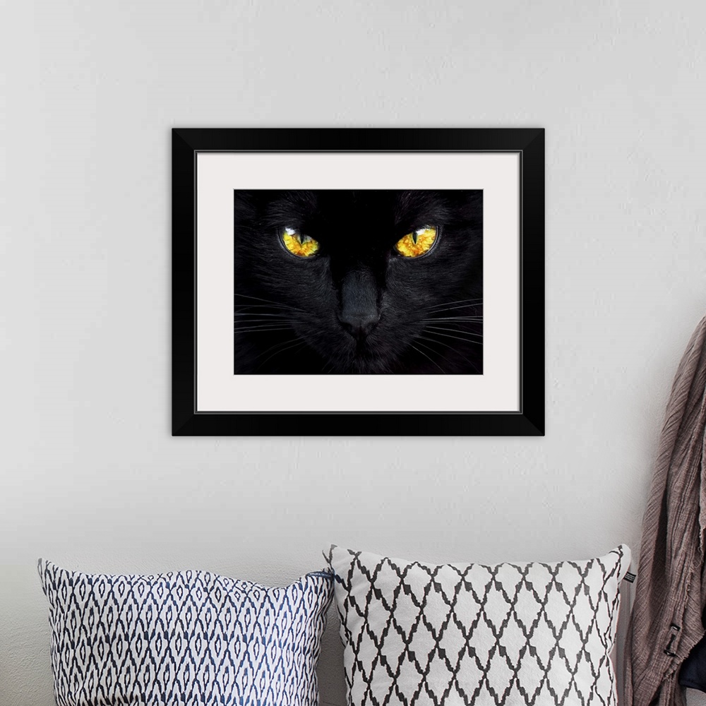 A bohemian room featuring A close-up of a black cat with glowing bright yellow eyes.
