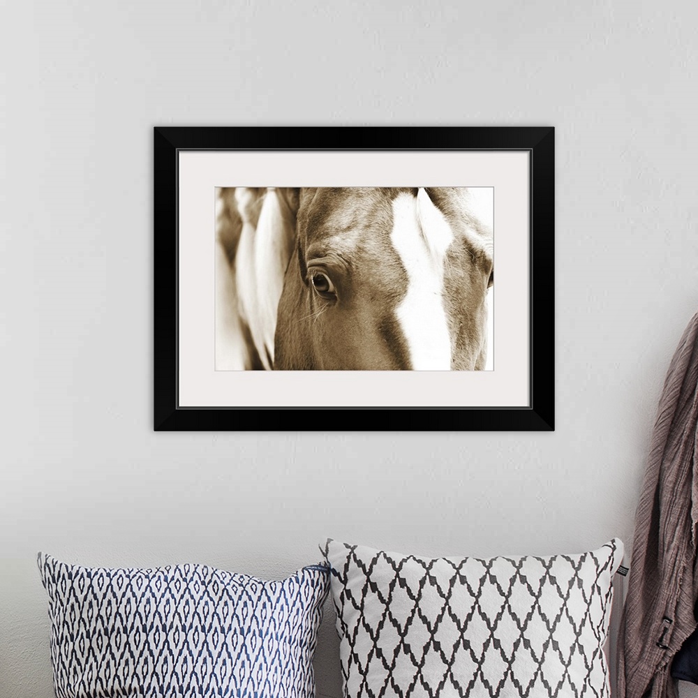 A bohemian room featuring Sepia toned close-up photograph of a horse gazing into the camera. With a braided mane.