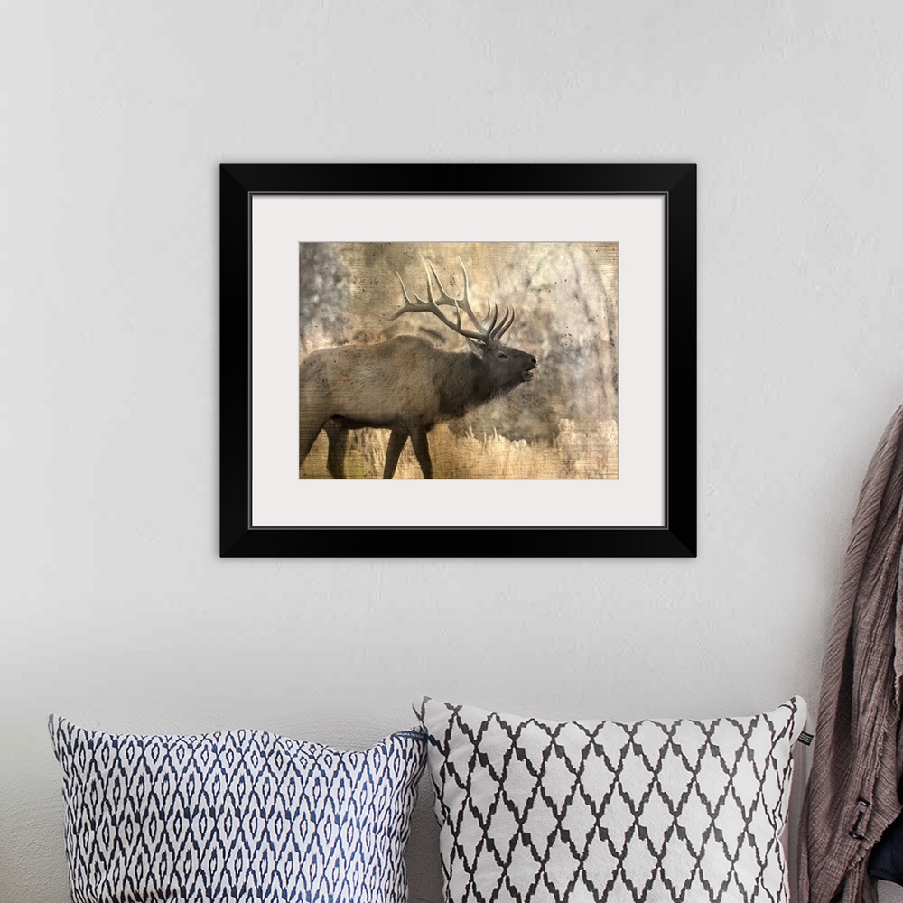 A bohemian room featuring An elk walking through the woods in the morning.