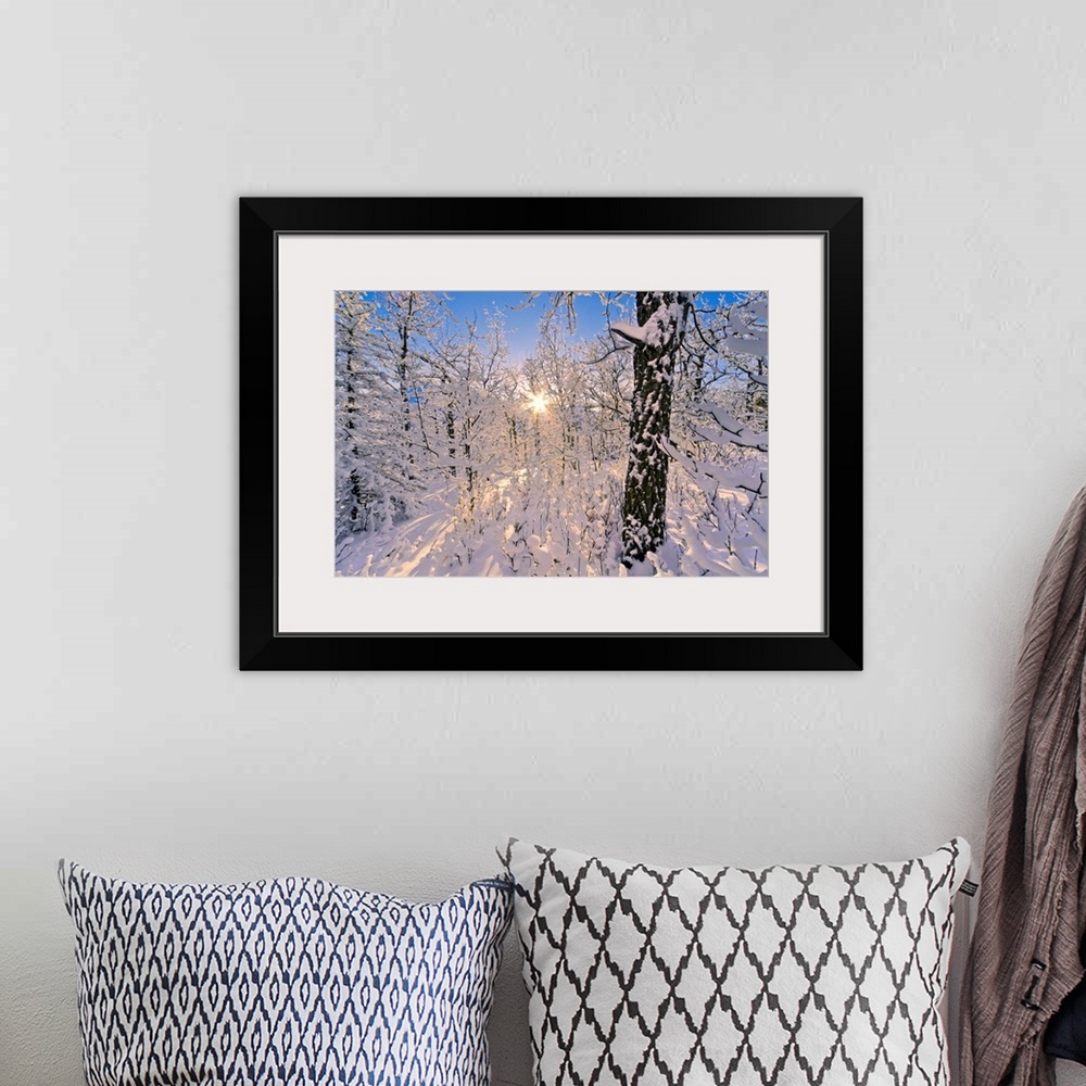 A bohemian room featuring Photograph of  snowy forest with sun peaking through branches.