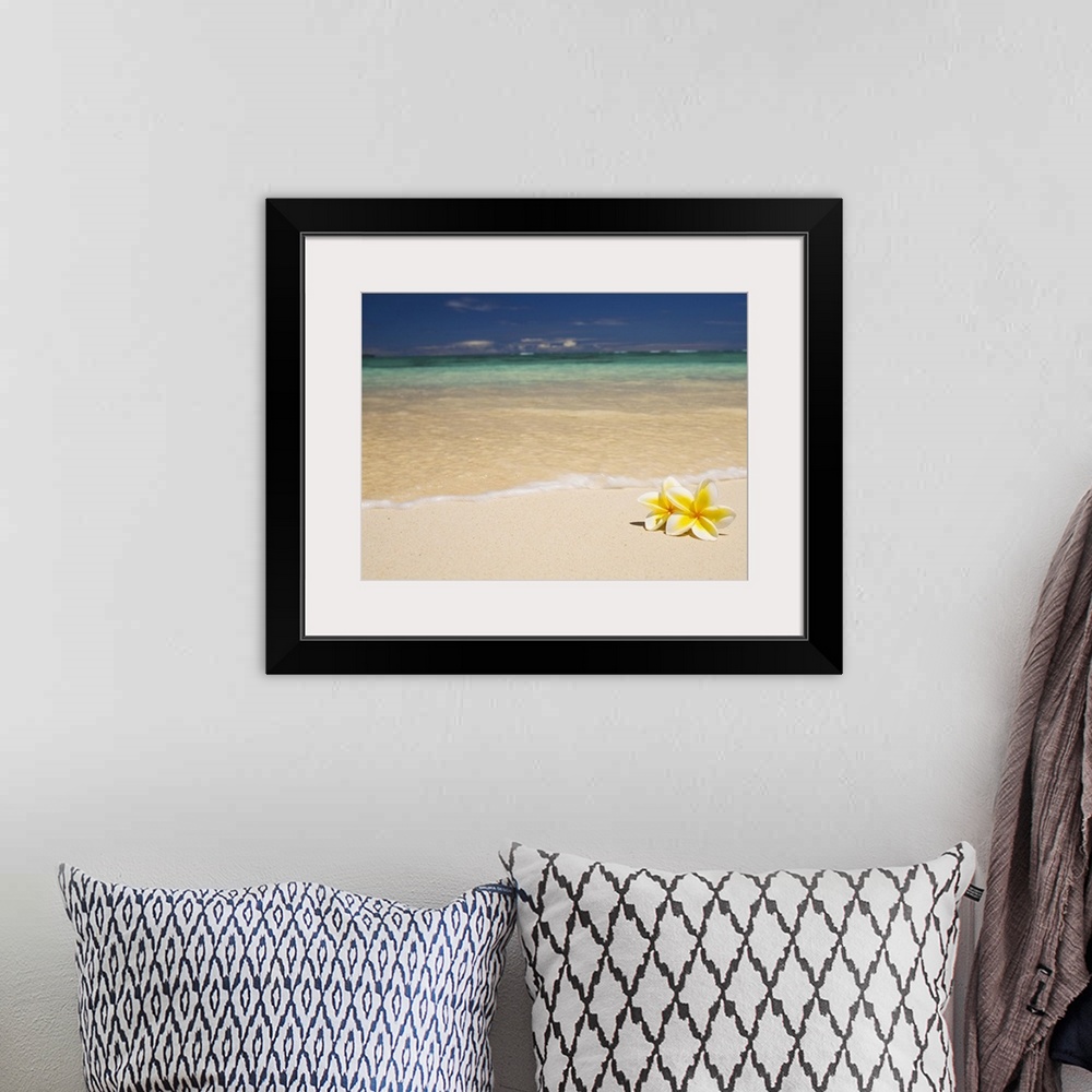 A bohemian room featuring Big canvas photo of two tropical flowers laying on a white sand beach with an ocean washing ashore.