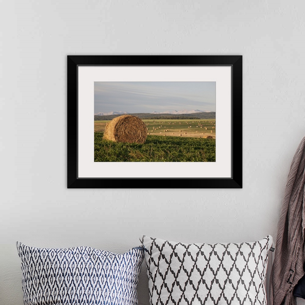 A bohemian room featuring Hay Bales In A Field With Mountains In The Background At Sunrise; Alberta, Canada