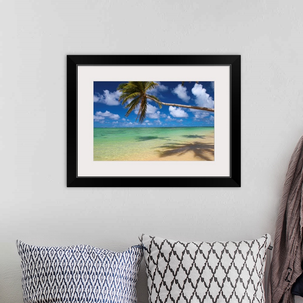 A bohemian room featuring Lone Palm Tree Leaning Over Beach With Shadow