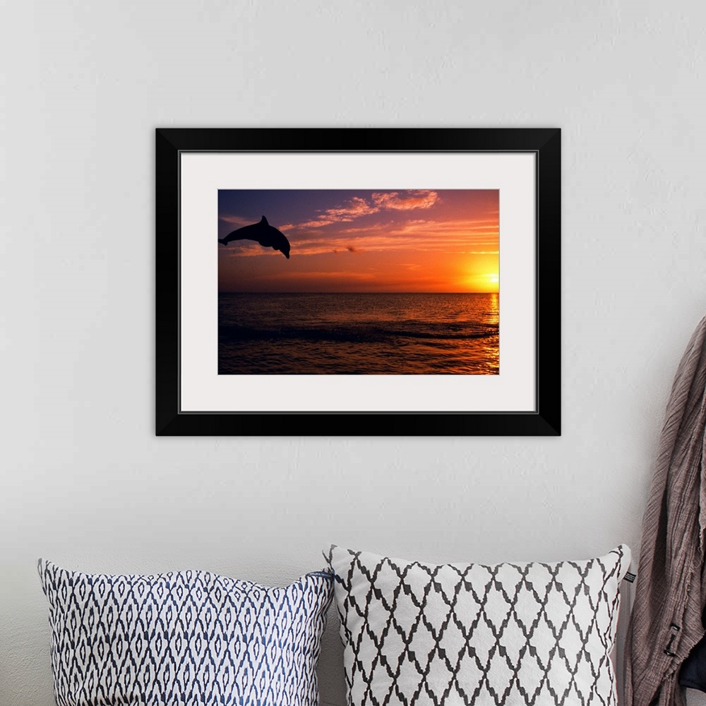 A bohemian room featuring Silhouette Of Bottlenose Dolphin Leaping Over Ocean At Sunset, Caribbean Sea