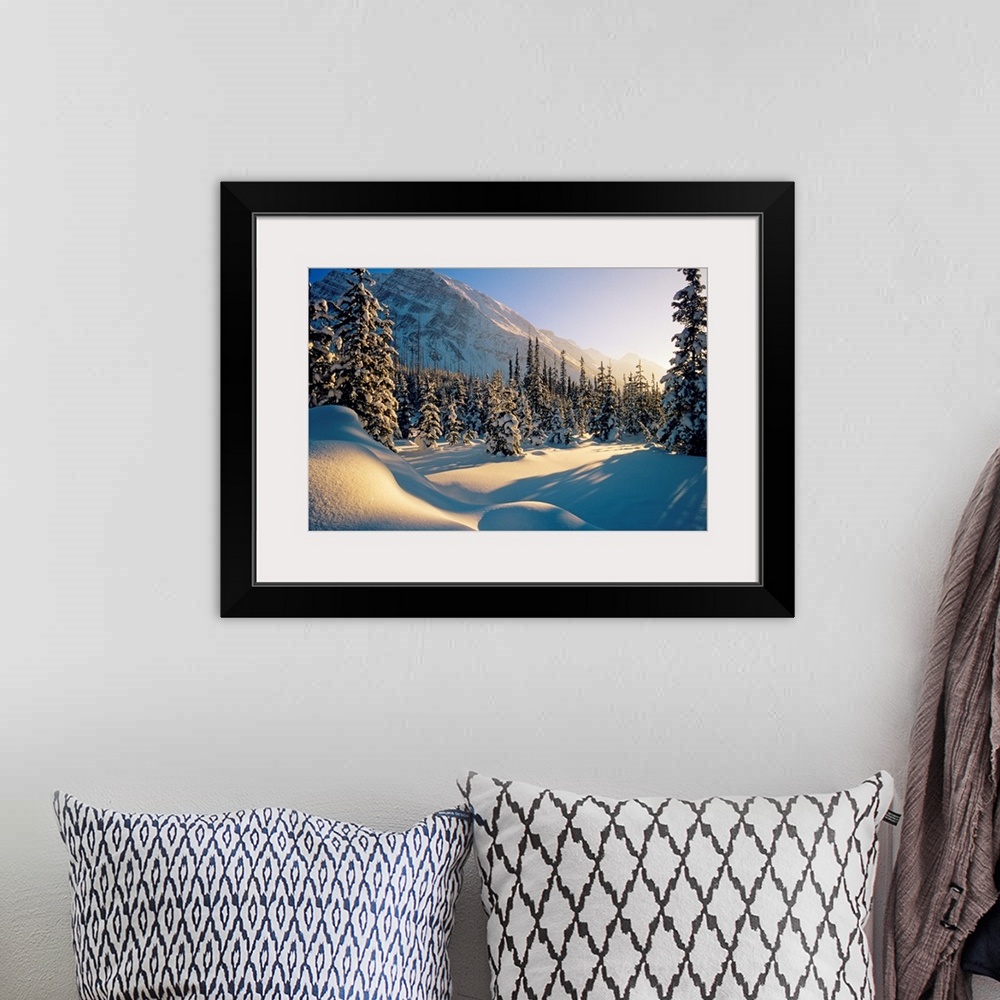 A bohemian room featuring Sun Setting Behind Trees And Mountain, Banff National Park, Alberta, Canada
