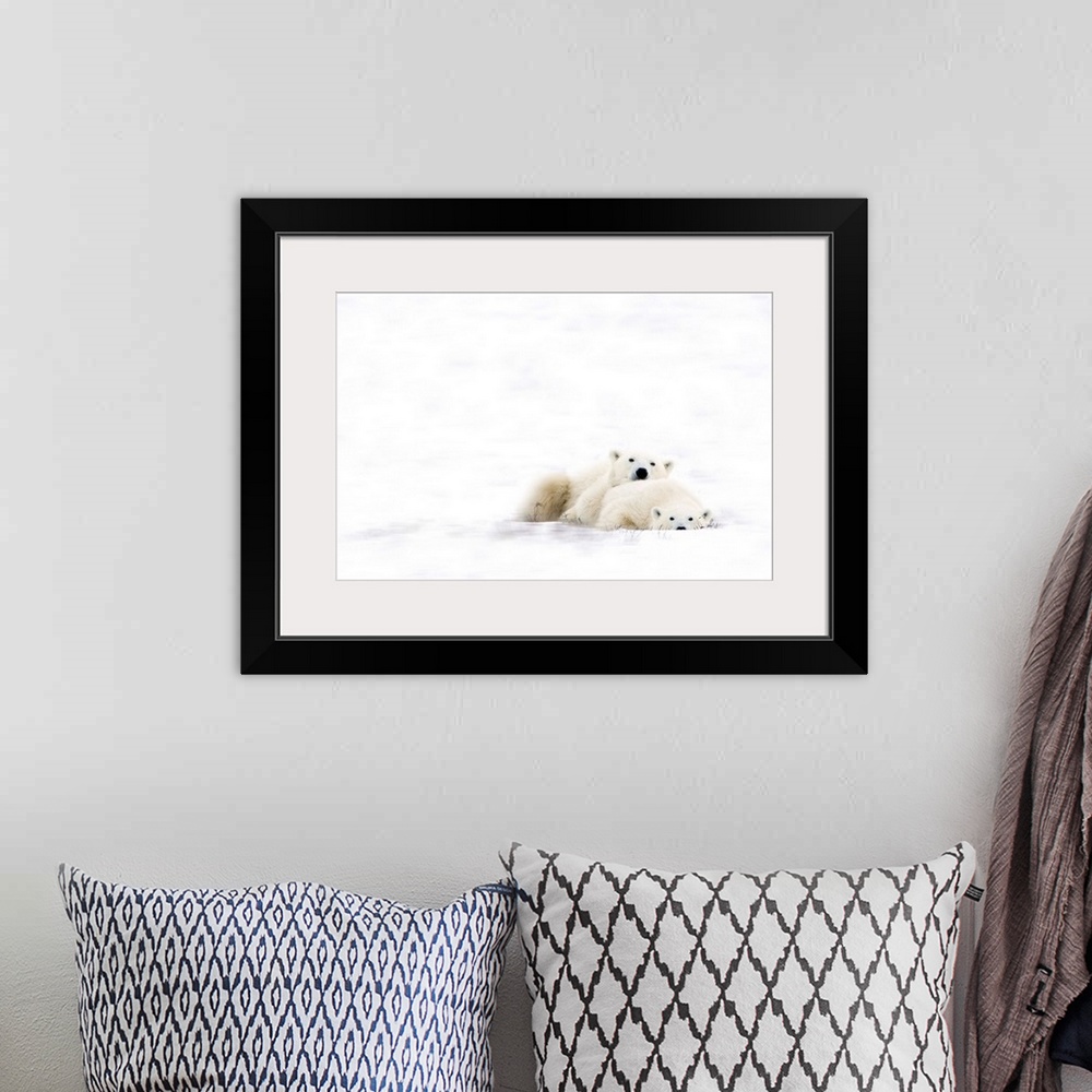 A bohemian room featuring Two Polar Bears Snuggling