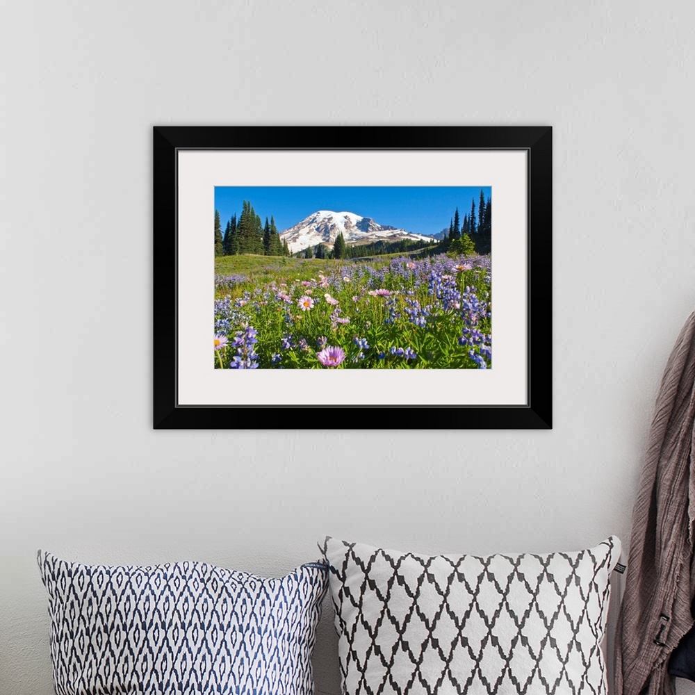 A bohemian room featuring Wildflower Meadow, Mount Rainier National Park, Washington, USA