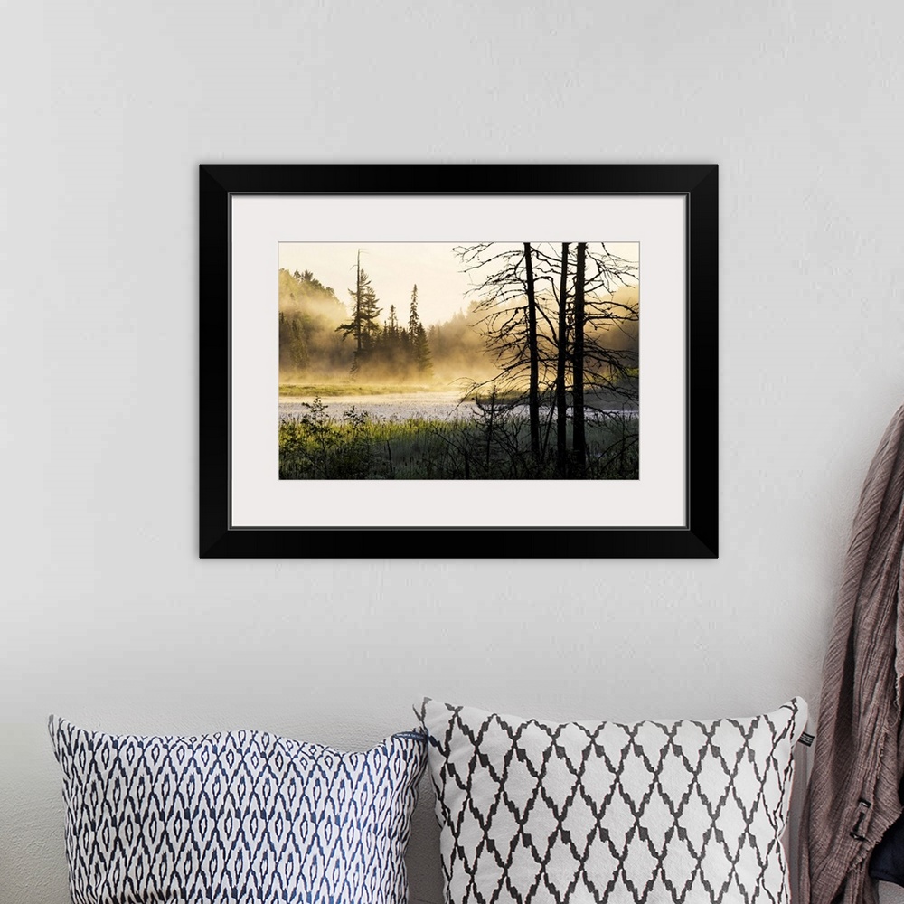 A bohemian room featuring Big photo on canvas of a forest landscape covered in fog and bathed in various places with warm s...