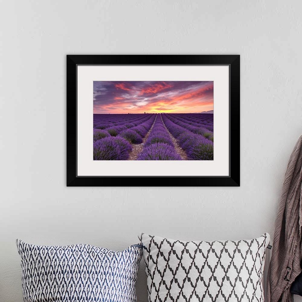 A bohemian room featuring A photograph of rows of lavender crops under a warm sunset bathed sky.