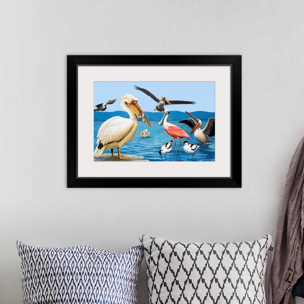 A bohemian room featuring Birds with strange beaks. Pelican, Brown Pelican, Roseate Spoonbill, and Avocet. Original artwork...