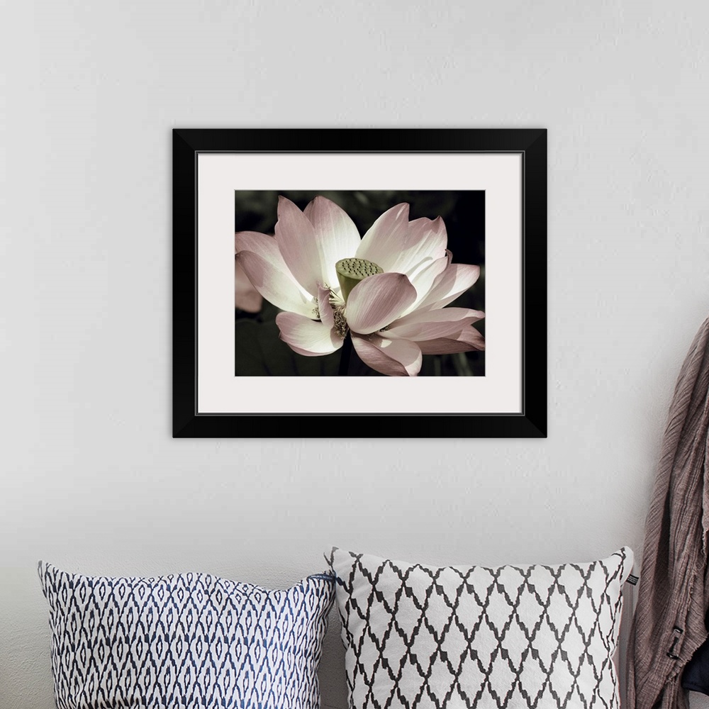 A bohemian room featuring Close-up photograph of a lotus flower with muted pink, green, and white hues.