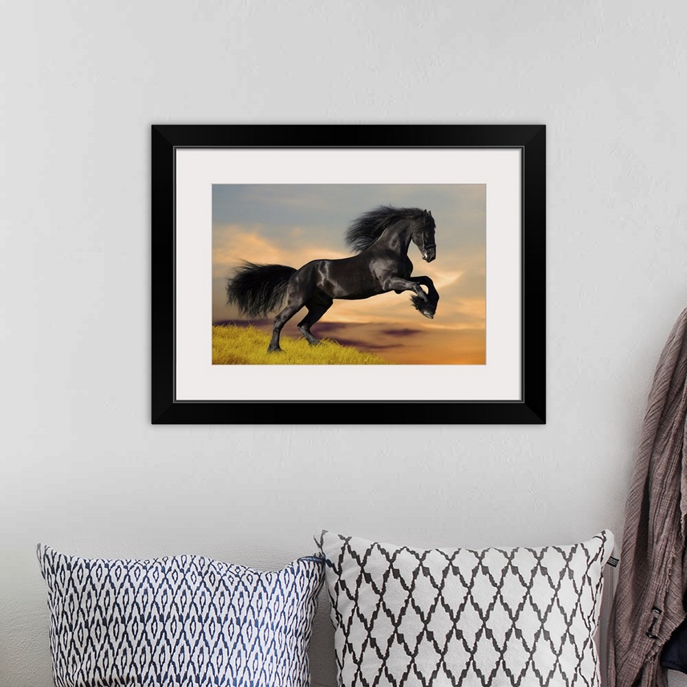 A bohemian room featuring Black horse galloping on a hill at sunset.
