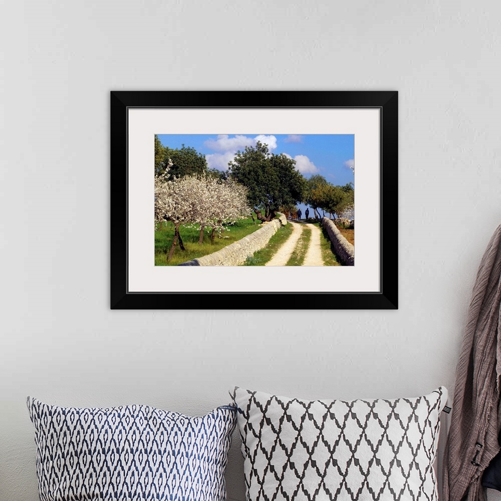 A bohemian room featuring Italy, Sicily, Ragusa, Country road and almond trees in bloom near Modica
