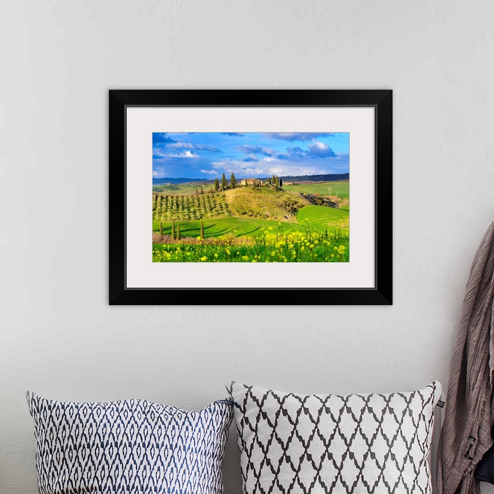 A bohemian room featuring Italy, Tuscany, Siena district, Orcia Valley, Hilly landscape with farmhouse and blooming fields.