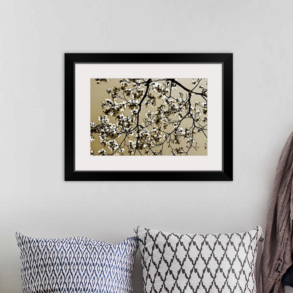 A bohemian room featuring A monochromatic, horizontal photograph of tree branches covered with blossoms in spring against a...