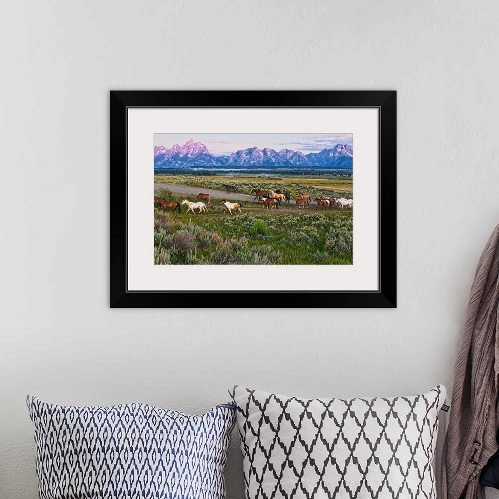 A bohemian room featuring Big canvas photo of a group of horses walking through an open field with rugged mountains in the ...