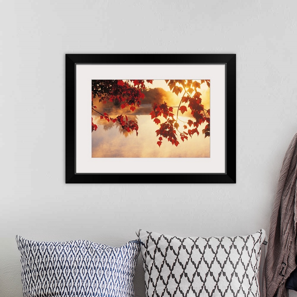 A bohemian room featuring Landscape wall art of autumn leaves hanging off a tree while mist rises off a pond in the morning...
