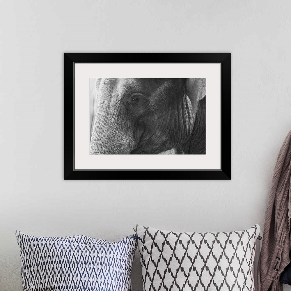 A bohemian room featuring Black and White Elephant portrait