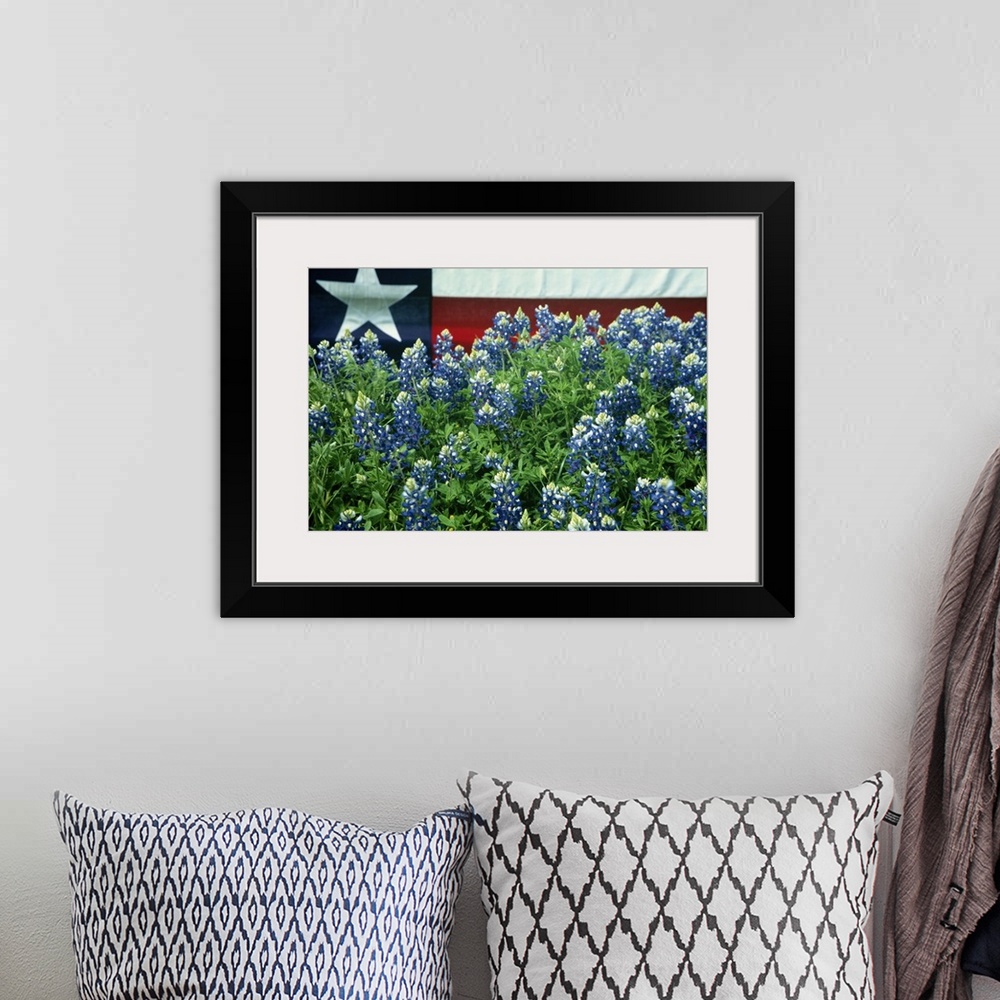 A bohemian room featuring Bluebonnets are the state flower of Texas.