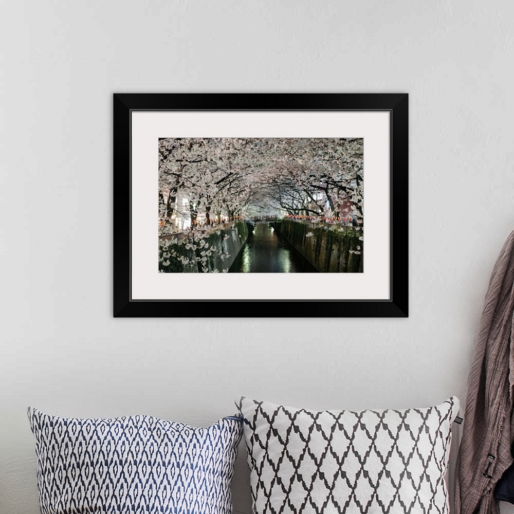 A bohemian room featuring Rows of cherry blossoms in full bloom line the meguro river in Tokyo, Japan on a bright evening i...