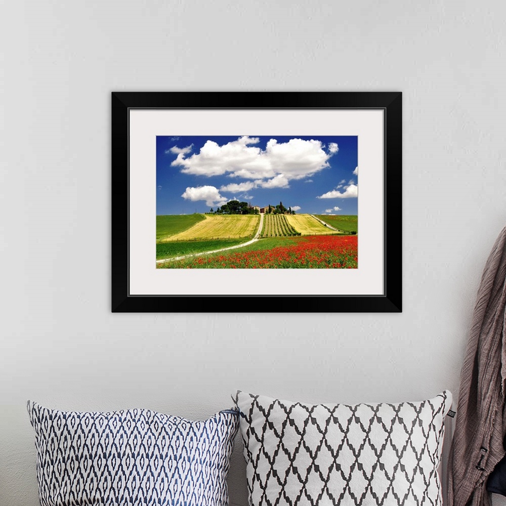 A bohemian room featuring Clouds and poppies near vineyard.
