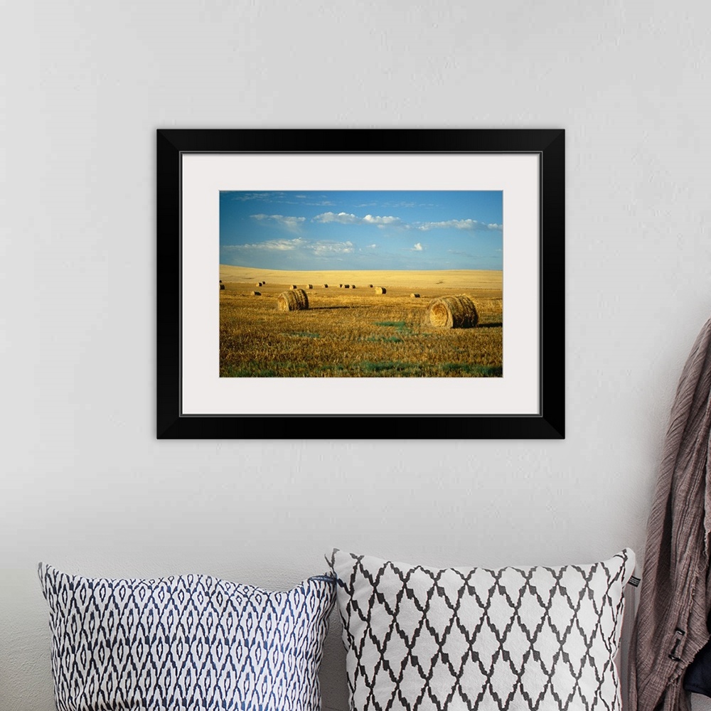 A bohemian room featuring Hay field, North Dakota