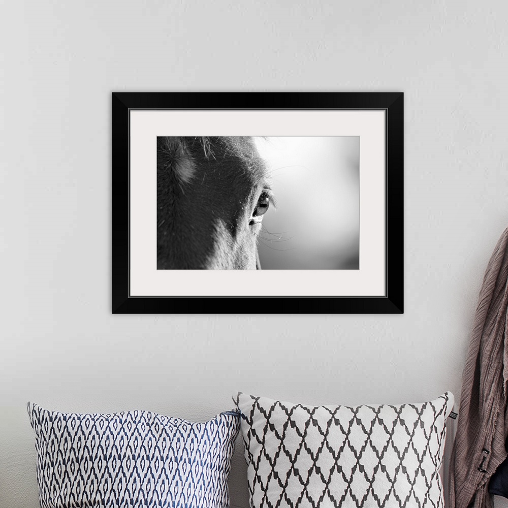 A bohemian room featuring This wall art is an extreme close up photograph of a horseos eye in this horizontal shaped photog...