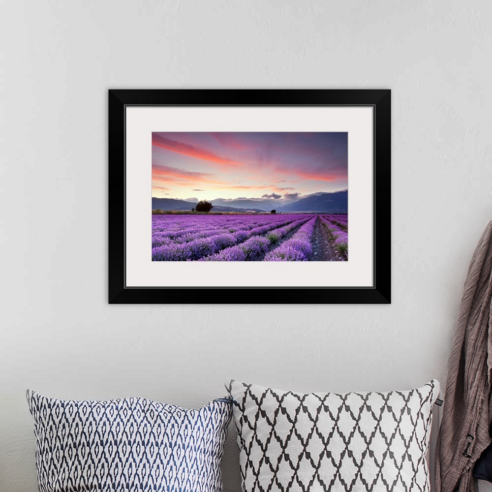 A bohemian room featuring Big canvas print of large fields of flowers with misty rolling hills in the background at sunset.