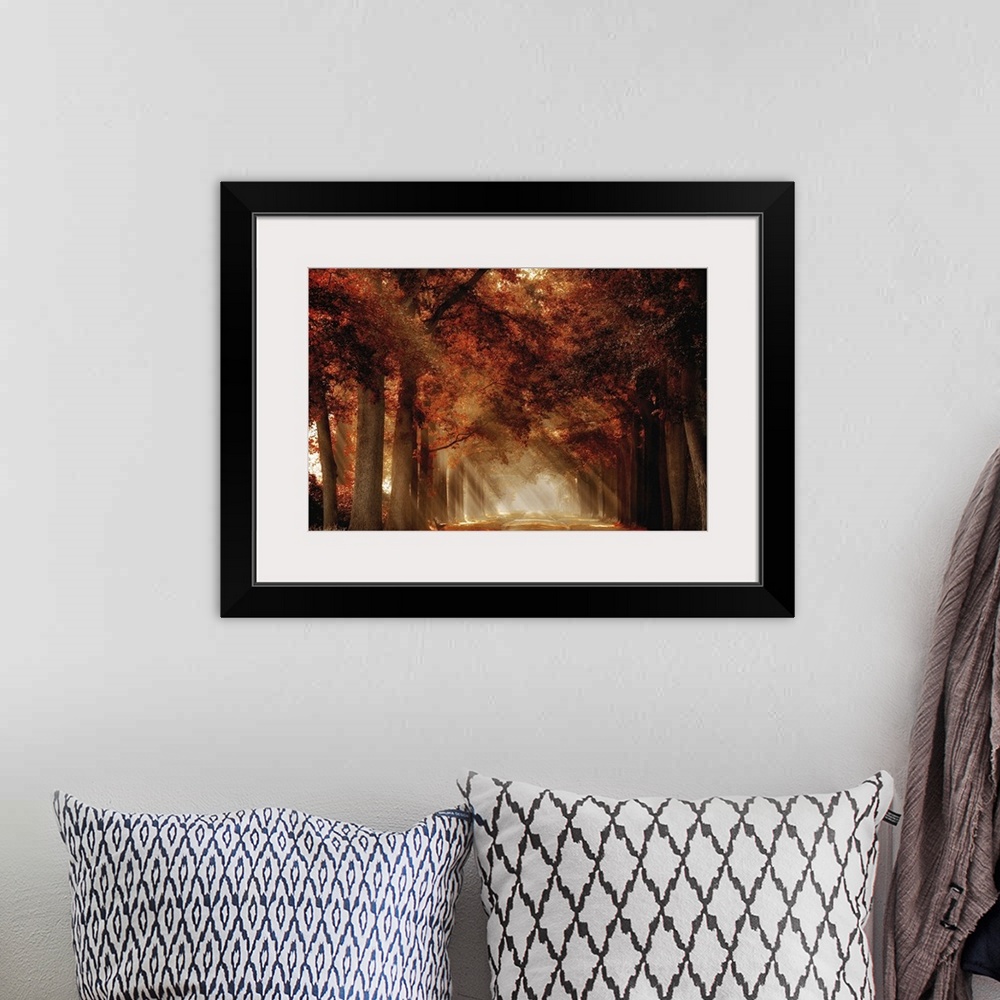 A bohemian room featuring A photograph looking down a foggy tree lined road in autumn foliage.