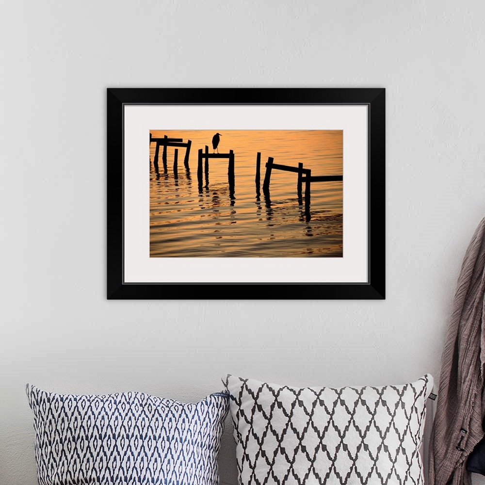A bohemian room featuring A silhouetted heron perches on the pilings of an old dock.