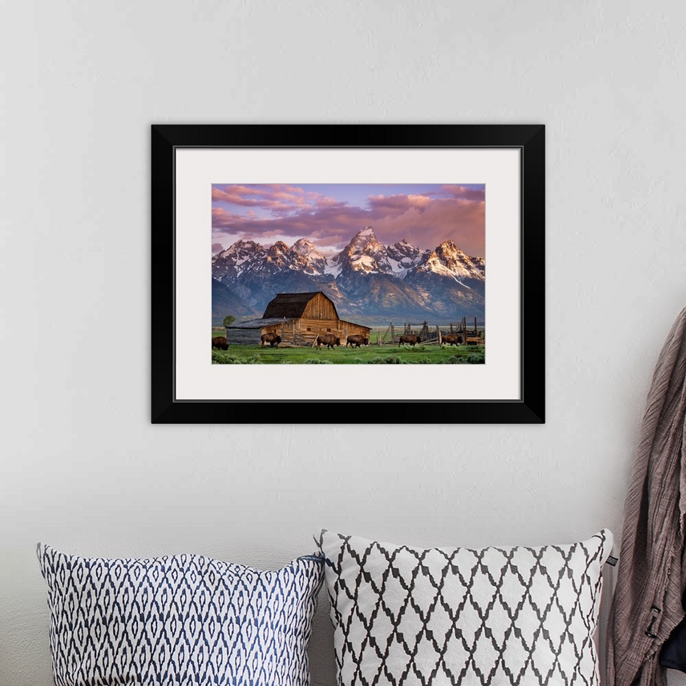 A bohemian room featuring Big photo print of buffalo in front of a barn in the middle of a field with a rugged mountain ran...