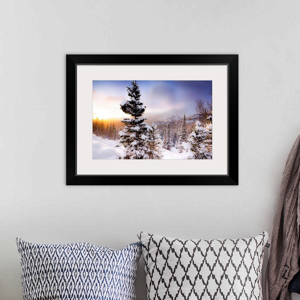 A bohemian room featuring Sun Rises After A Fresh Snowfall, Rocky Mountain National Park, Colorado