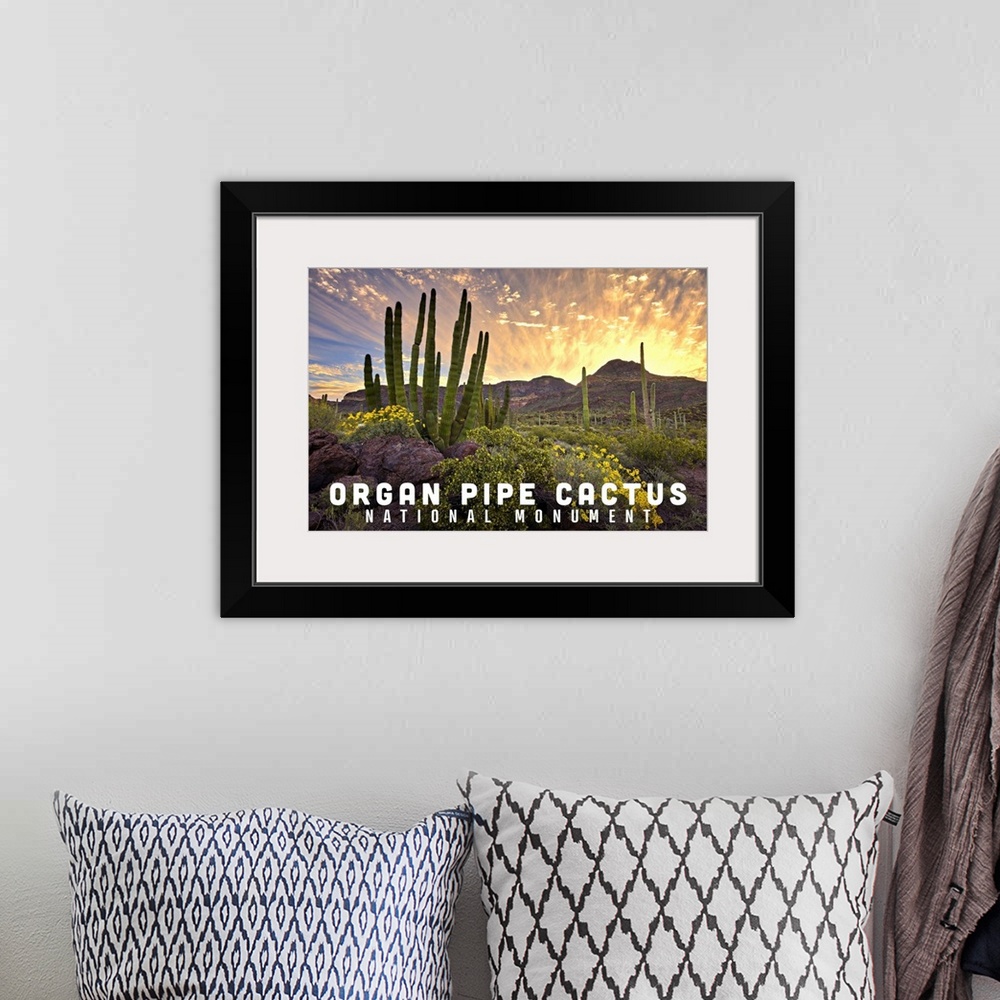 A bohemian room featuring Organ Pipe Cactus National Monument, Arizona - Sunrise