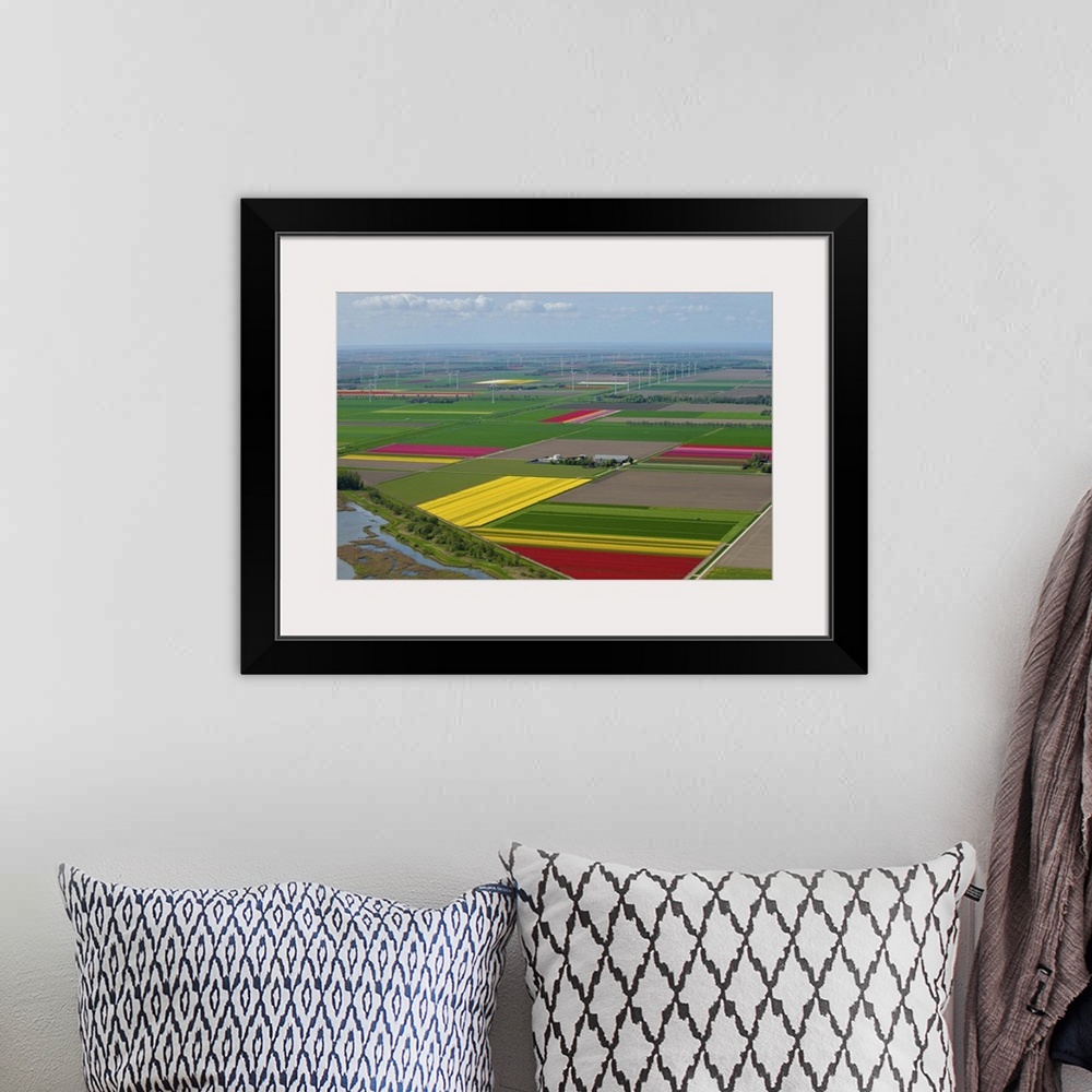 A bohemian room featuring Tulips Fields, Zeewolde - Aerial Photograph