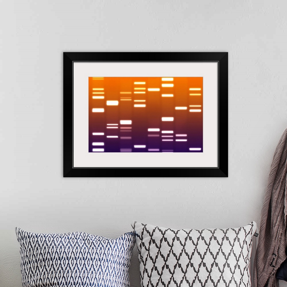 A bohemian room featuring DNA canvas and art print. DNA contains the genetic instructions which control how every living or...