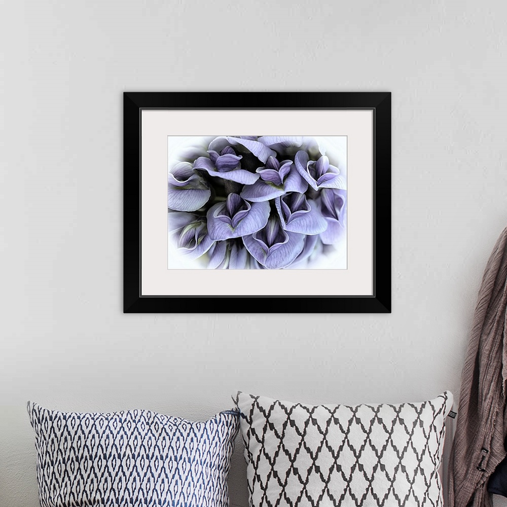 A bohemian room featuring A macro photograph of purple flowers surrounded by a white vignette.