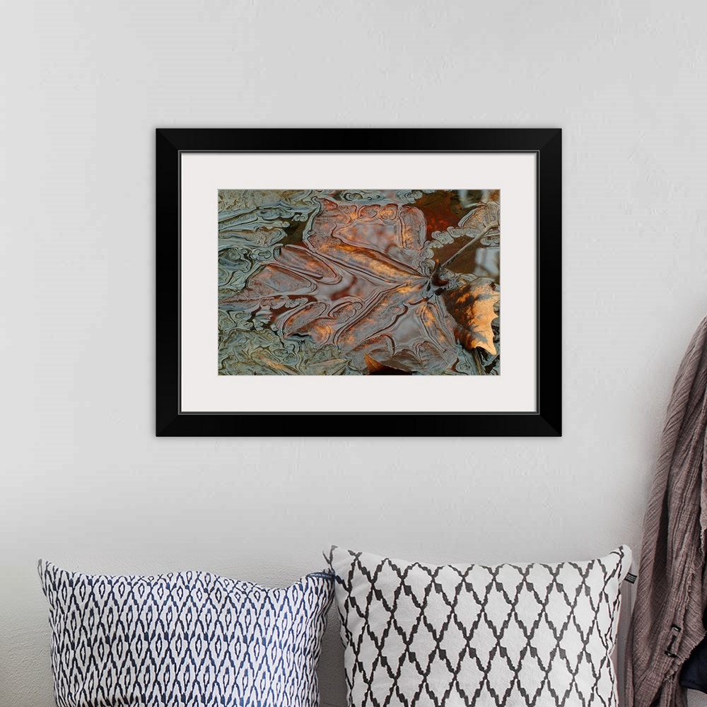A bohemian room featuring Horizontal, close up photograph of a bronze leaf submerged in water with very fine details and sw...