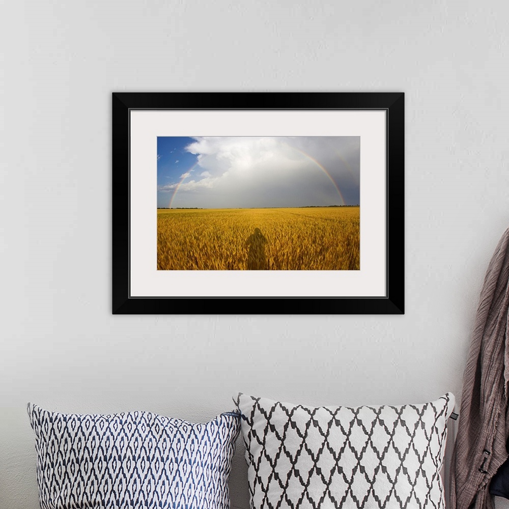 A bohemian room featuring A man's shadow on a wheat field with a rainbow behind a passing storm.
