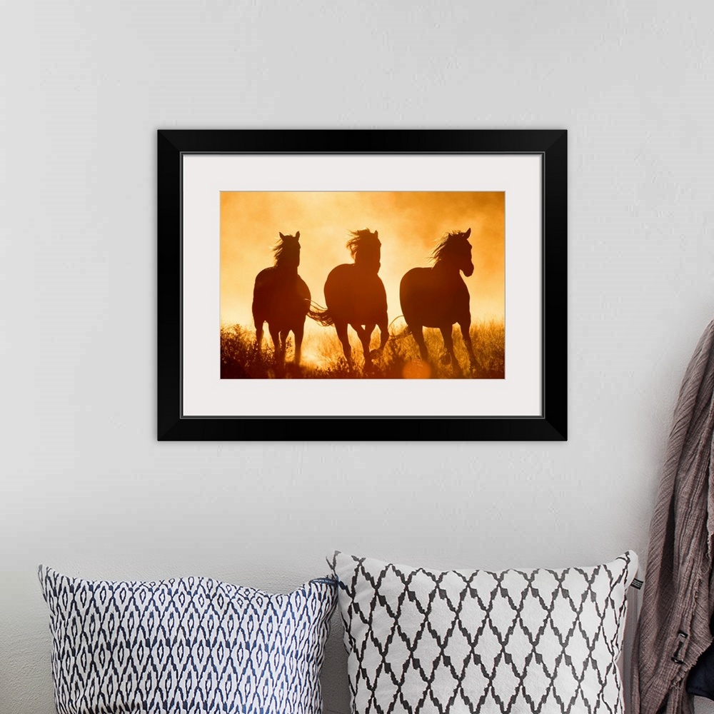 A bohemian room featuring Large monochromatic photograph taken of three Equus Caballus horses galloping through a field fil...