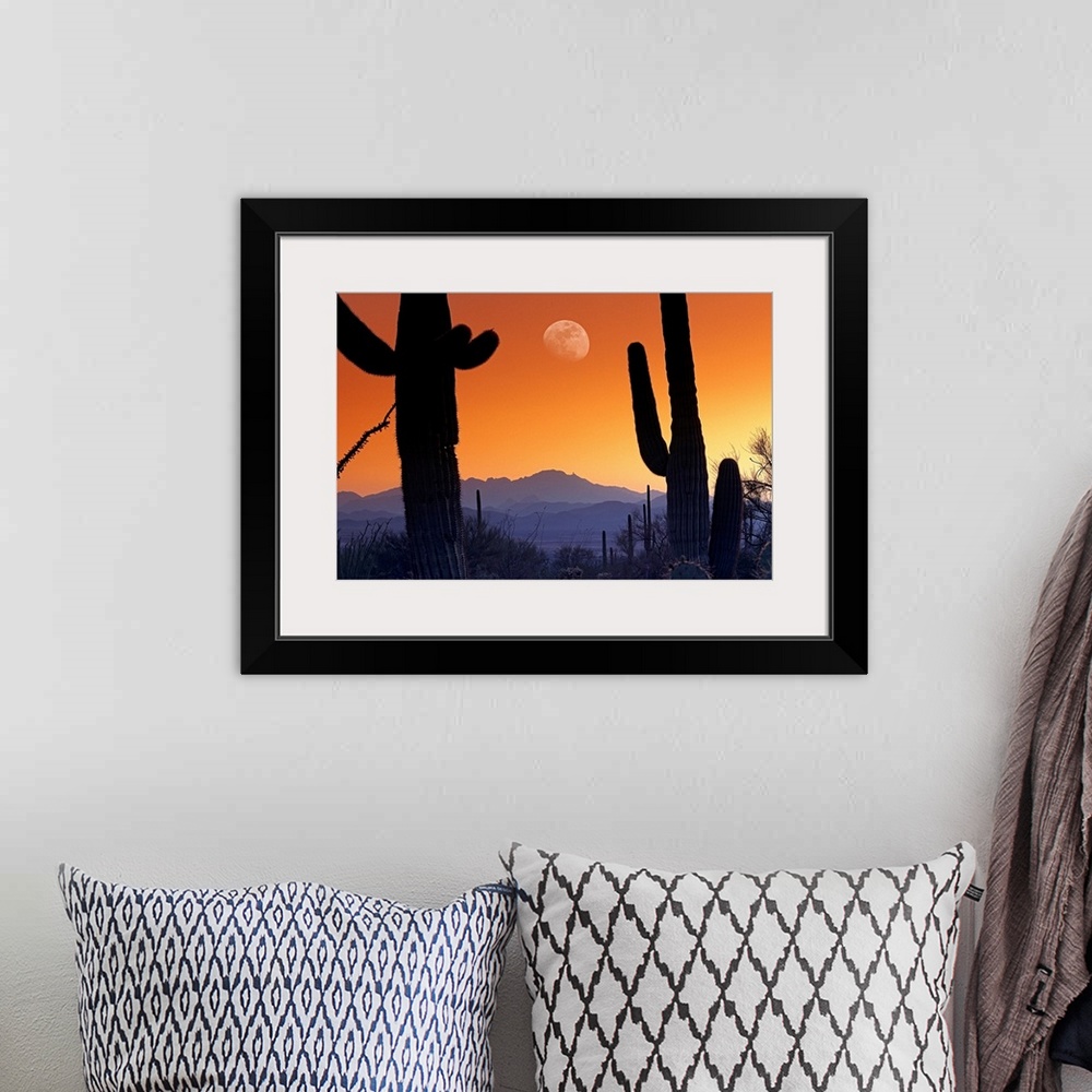 A bohemian room featuring Big canvas photo of cacti silhouetted against a sunset in the desert with a big moon.