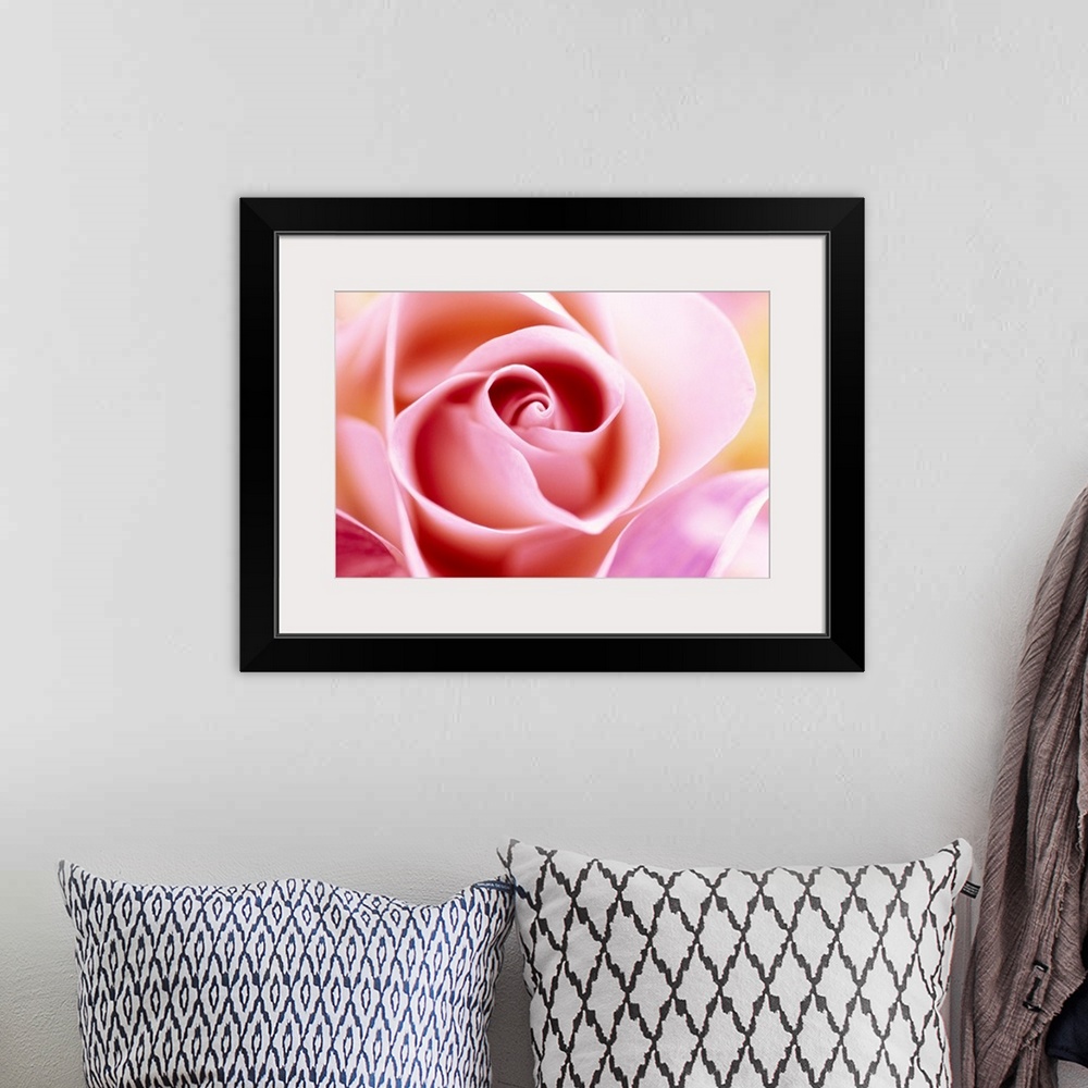 A bohemian room featuring Macro photograph of a rose, horizontal wall art for the living room or office.