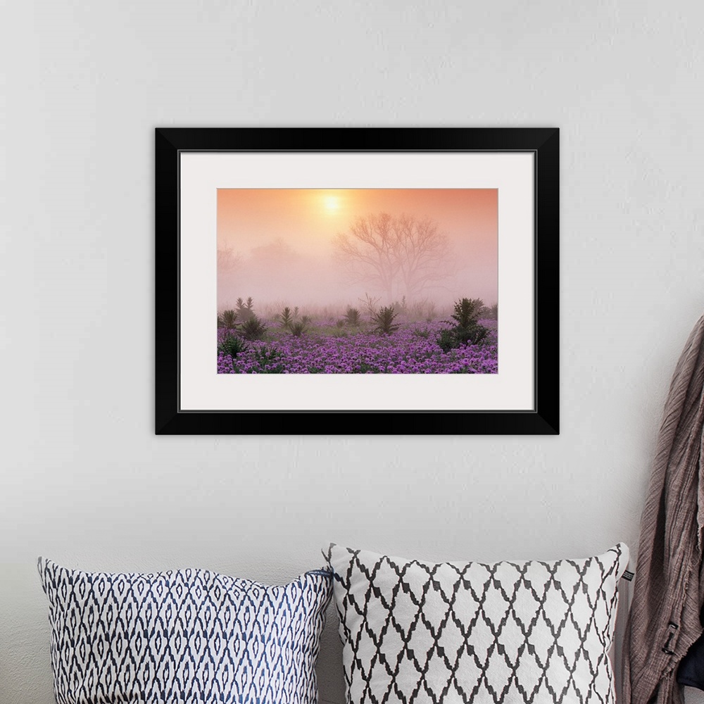 A bohemian room featuring Photograph of flower meadow sprinkled with tall shrubs on a misty morning.  The silhouettes of la...
