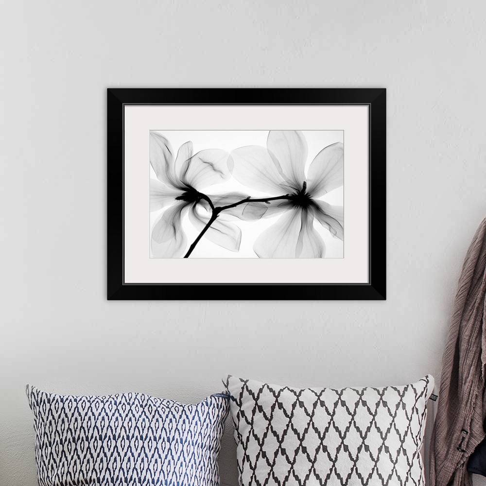 A bohemian room featuring Fine art photograph using an x-ray effect to capture an ethereal-like image of a magnolia.