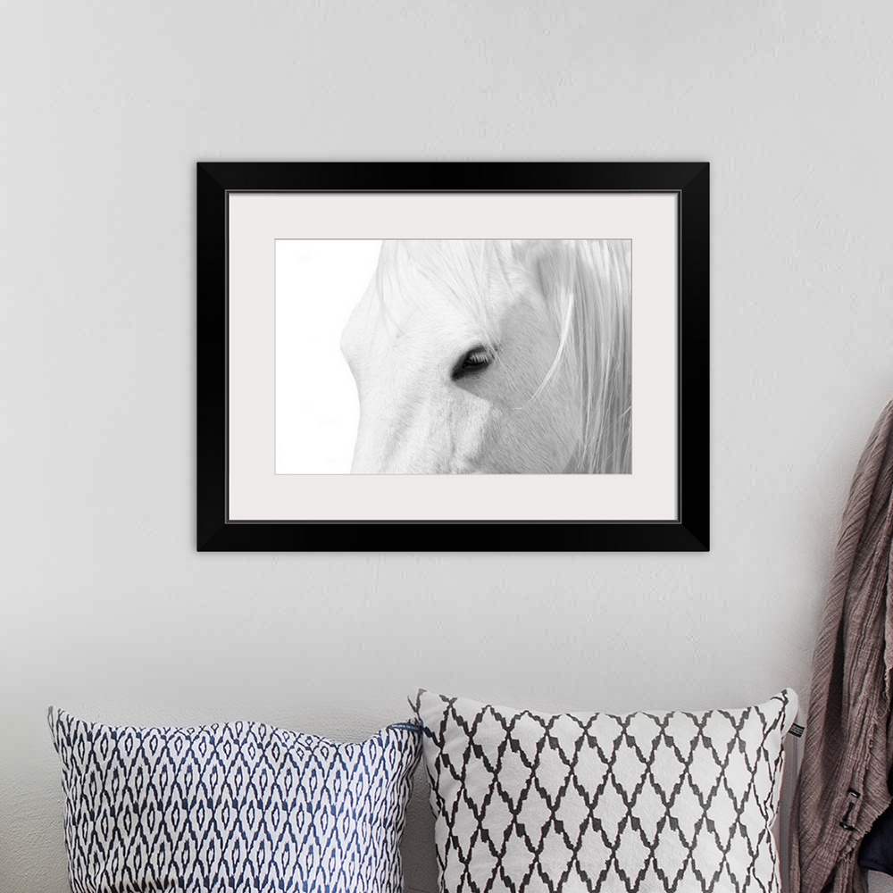 A bohemian room featuring Closeup artwork of the head of a horse.
