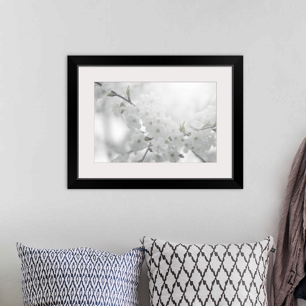 A bohemian room featuring A black and white photograph of soft white flowers surrounded by light.