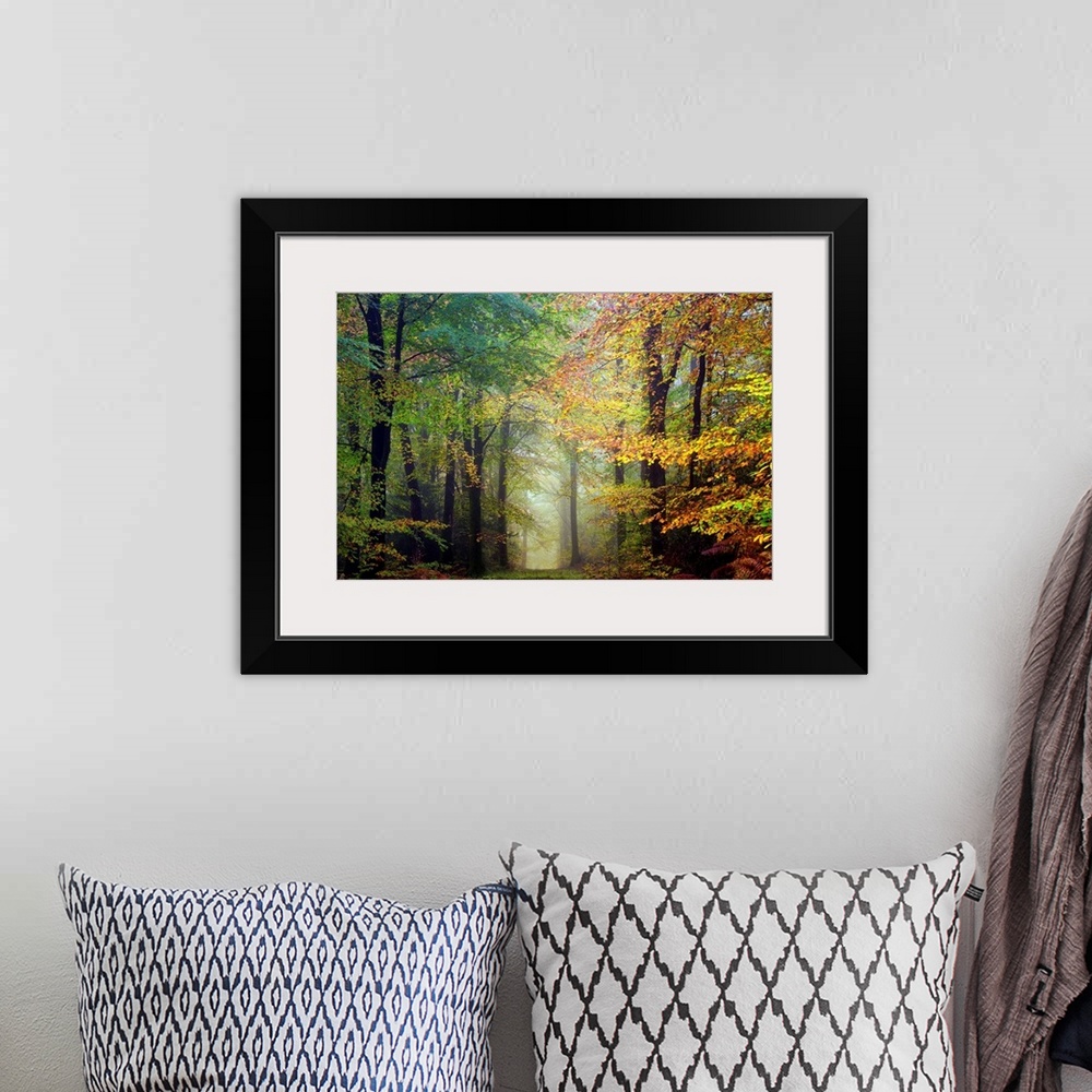 A bohemian room featuring Fine art photo of a path through the misty woods in the fall.