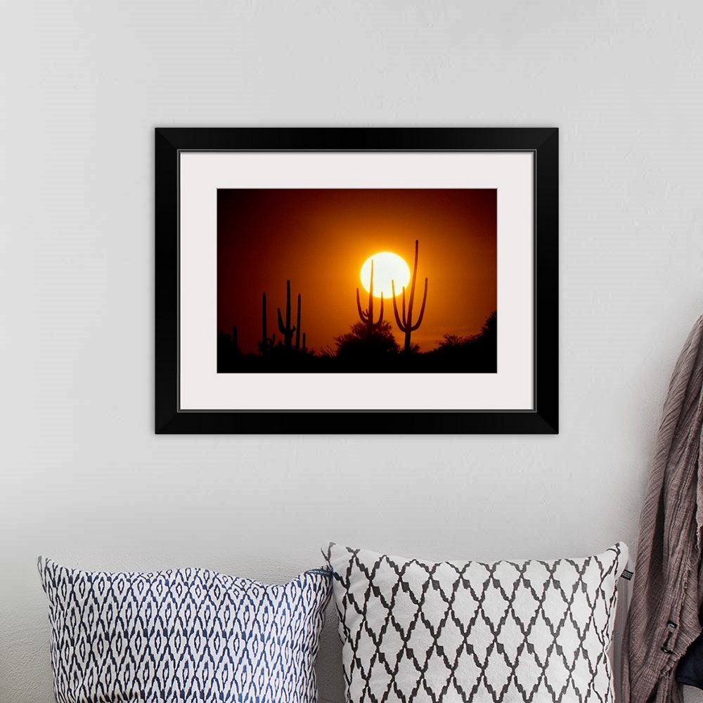 A bohemian room featuring Photograph of cacti and bush silhouettes with bright setting sun in the background.