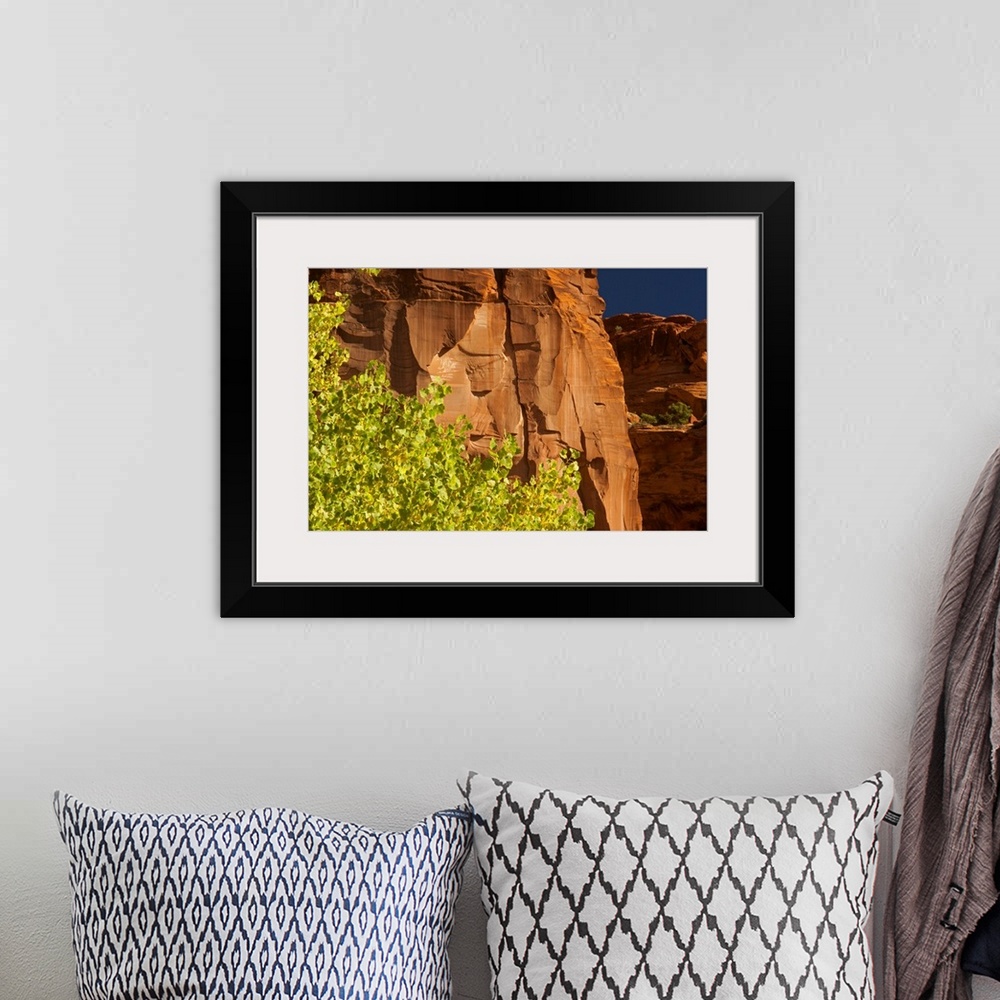 A bohemian room featuring Aspen trees, Canyon de Chelley National Monument, Arizona