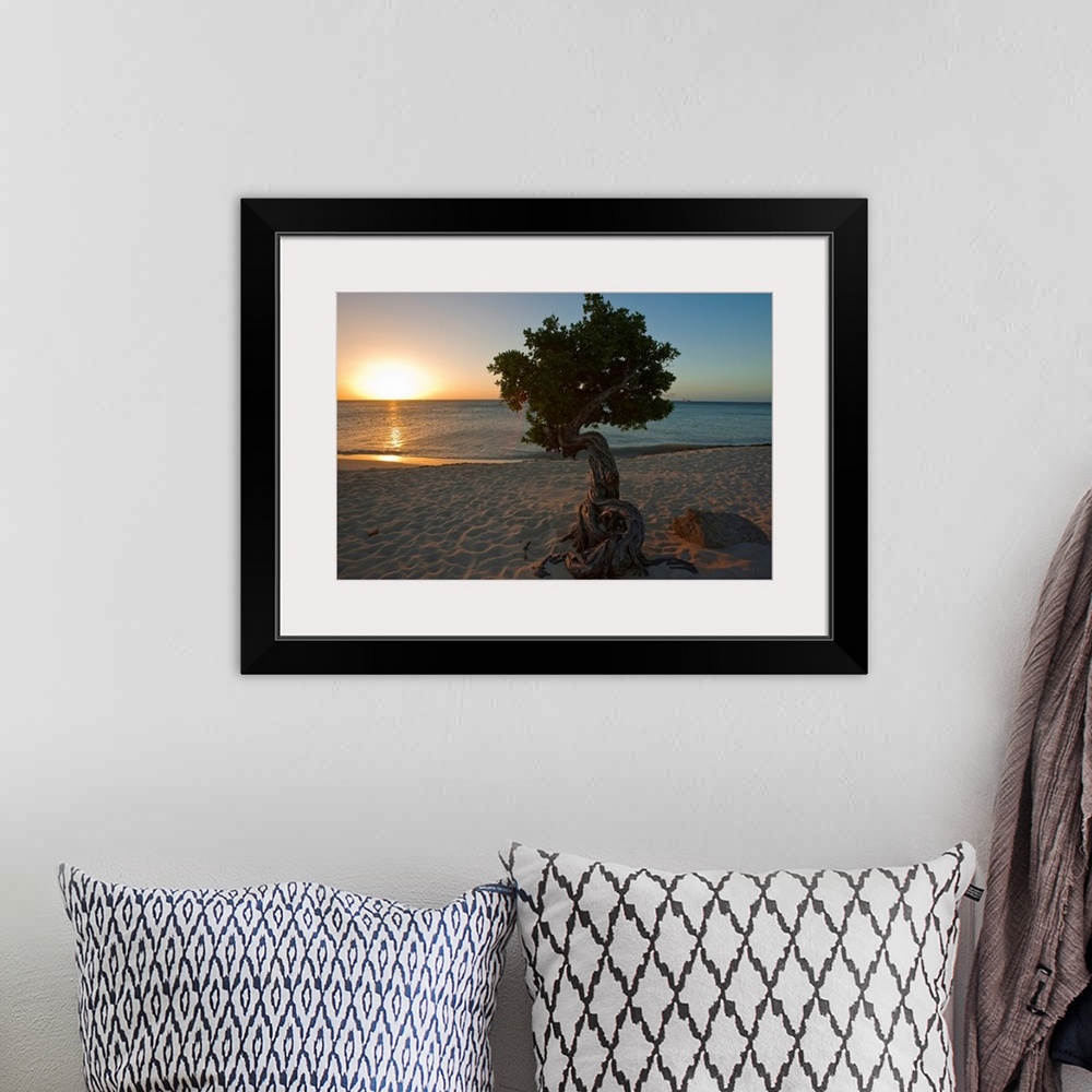 A bohemian room featuring A lone,  fofoti tree growing on a sandy beach as the sun sets of the ocean in Aruba.
